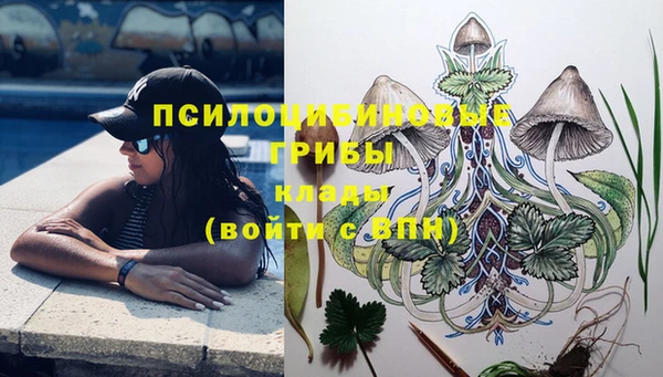 скорость Баксан