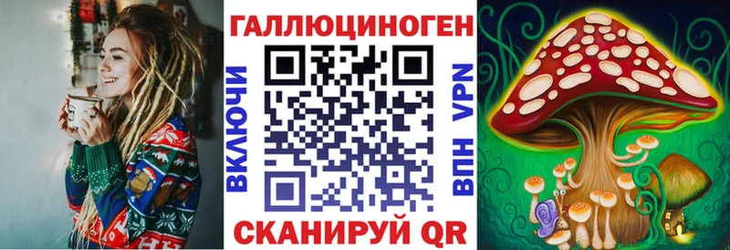 купить наркотик  Ильский  Псилоцибиновые грибы Magic Shrooms 